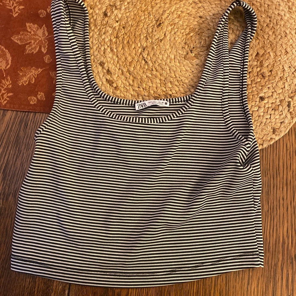 Zara Monochrome Striped Crop Top